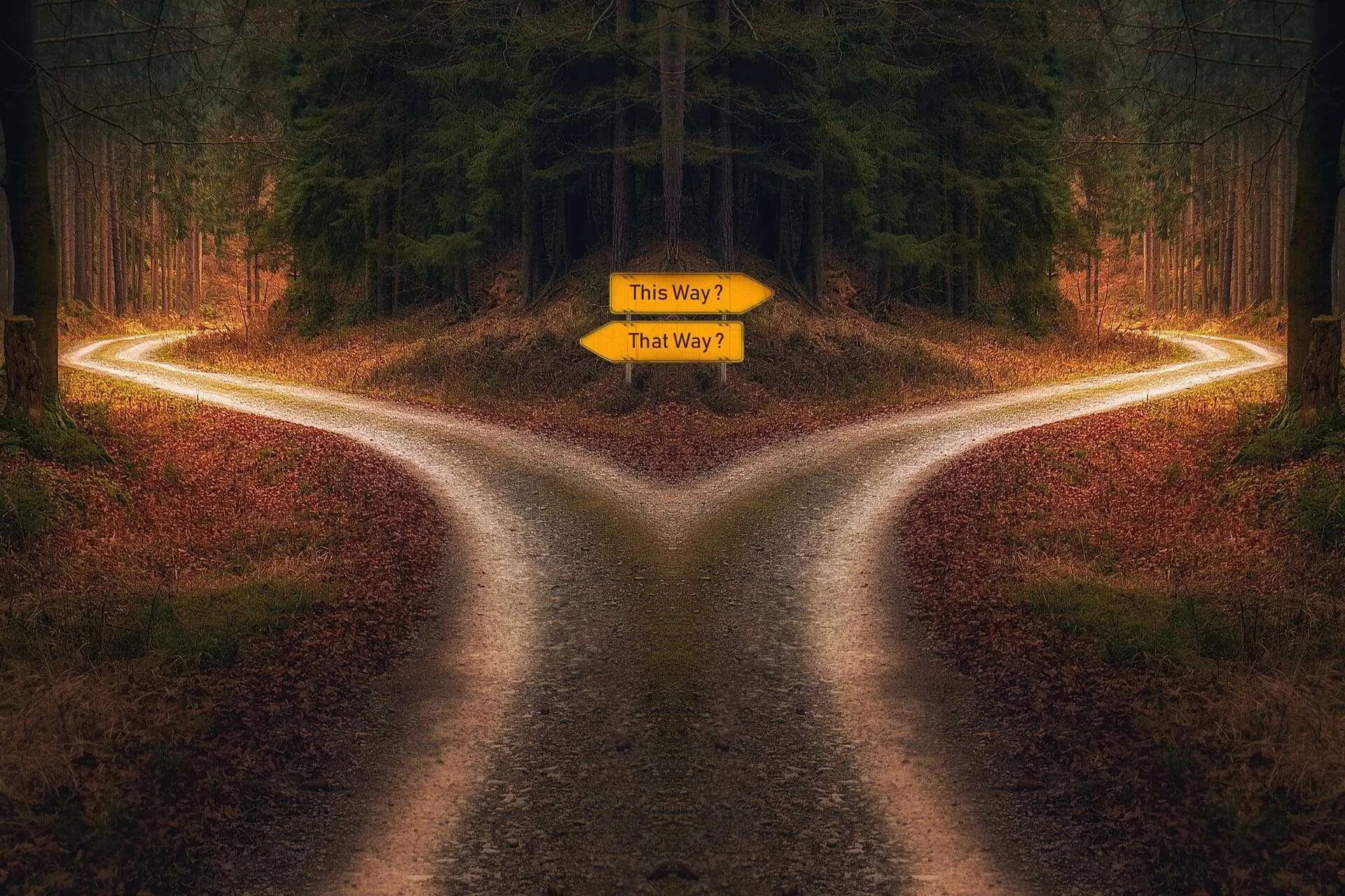 Self-Publishing vs Traditional Publishing — Which Path Is Right for You? - 2